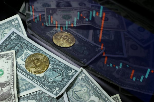 Quelles sont les obligations du promoteur dans un programme neuf ?